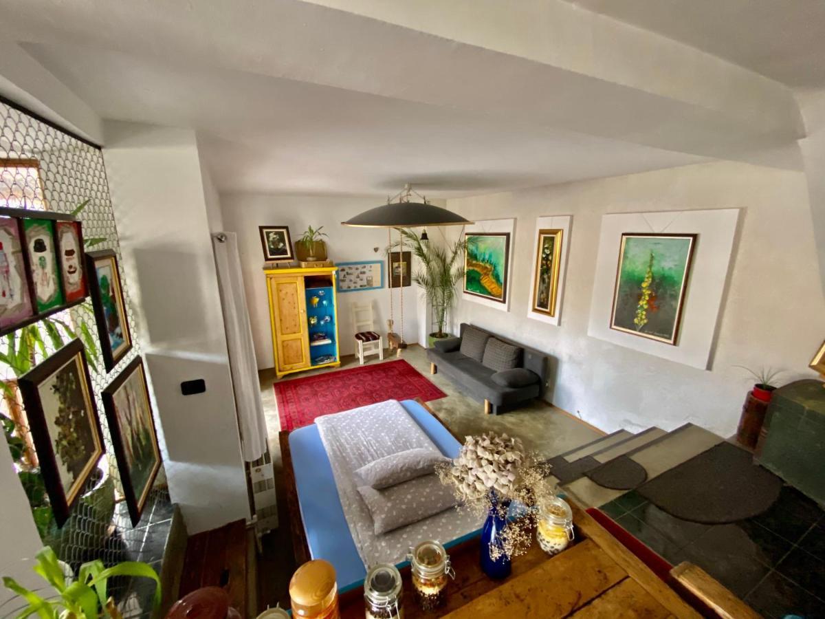 Apartament Art Cluj Zewnętrze zdjęcie
