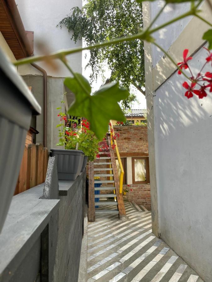 Apartament Art Cluj Zewnętrze zdjęcie